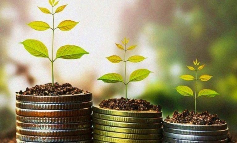 Küçük Yerlerde ve Şehirlerde Yapılabilecek İş Fikirleri Ek İş 2021