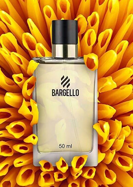 Widget Parfüm Şişe - Bargello Parfüm Bayilik Alma Şartları: Franchise Bedeli Ne Kadar? Bargello Bayiliği Nasıl Alınır? (2024)