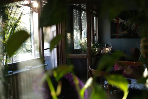 Sunlight streaming into a cozy, plant-filled living room